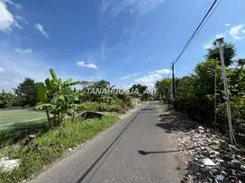 600 m Sanata Dharma, Tanah Jogja SHM Cocok Kost atau Investasi