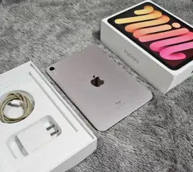 Ipad Mini6 64GB Pink