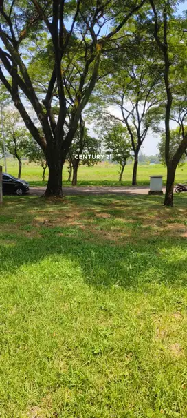 Tanah Kavling Strategis Di Cluster Pasadena Extension Delta Mas