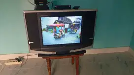 TV 21 Flat Sharp