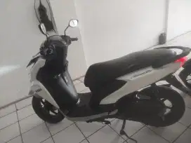 FREEGO 2019 OKe  cas/ kredit Dp 500