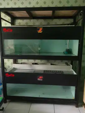 Aquarium 120cm x 50 x 50 & Rak