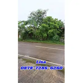 Tanah Strategis Balaraja – Cocok Usaha/Investasi – Depan Kampus