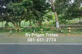 Tanah di Tretes
