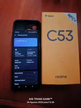Realme C53 NFC 6/128