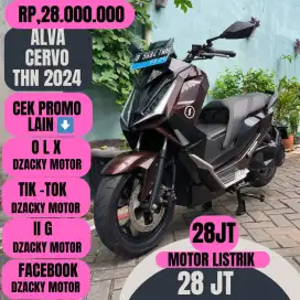 ALVA CERVO THN 2024