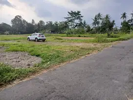 Barat Kampus UII, View Persawahan