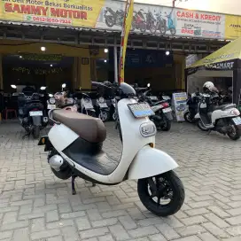 MOLIS VIAR Q1 2021