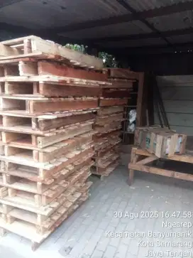 Palet kayu Ayah pallet semarang jatingaleh