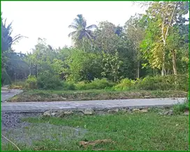 Jl. Gotakan Kulon Progo, Tanah Dekat Pintu Tol Wates-Jogja
