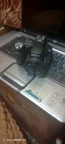 3 barang matot mungkin buat kanibalan