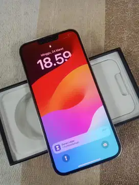Iphone 13 ProMax 512 gb