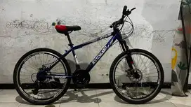 SEPEDA BEKAS MURAH