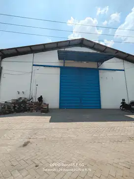 Disewakan Gudang Angtropolis Margomulyo Tandes Siap Pakai