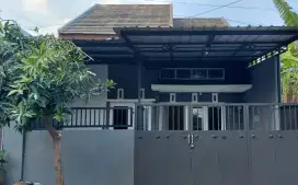 Di Kontrakan Rumah dengan lingkungan Asri