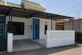 Di sewakan cling cat baru  nyaman  dkt Alfamart Luwes kandang sapi