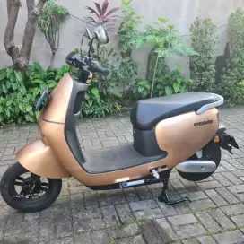 MOTOR LISTRIK EXOTIC STERRATO PAPER