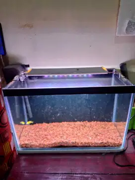 Aquarium 40cm x 25cm