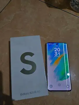 Samsung s21fe sein minus garis 3 8/256 hp+dusbook