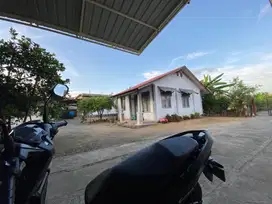 Sewa rumah dekat UIn dan Unsyiah