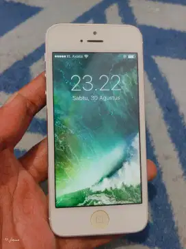 Apple Iphone 5 Mulus Glowing