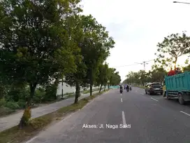 Jl. Bangau Sakti - UNRI Hanya 400 m, Tanah Dijual: Prospek