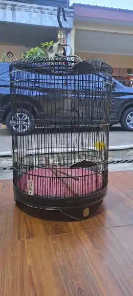 Sangkar kandang murai rafi no 2