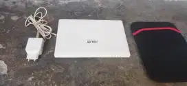 Asus Eee PC x101h