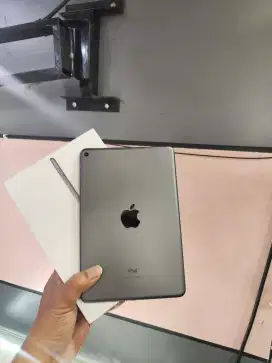 Ipad Mini 5 256gb wifi only fullset
