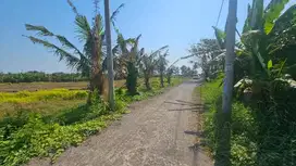 Tanah pantai kedungu tabanan
