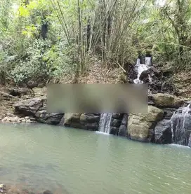 Tanah los tebing air terjun, view jungle dan sawah di Tabanan