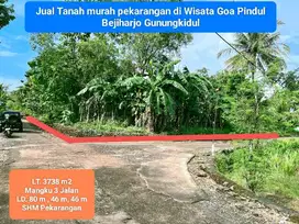 Jual tanah murah subur pekarangan di Bejiharjo Gunung Kidul