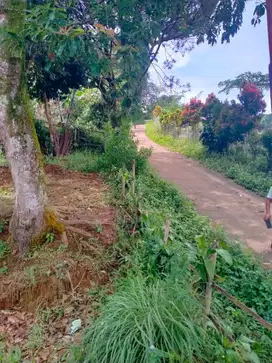 DI jual Cepat Tanah di Cijeruk