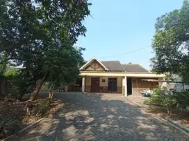 ‼️JUAL RUGI‼️RUMAH DI JELIDRO SAMBIKEREP SURABAYA BARAT