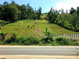TANAH MURAH AKSES MENUJU WISATA PASAR TEMATIK LUMBOK SEMINUNG LAMBAR