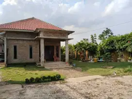 DIJUAL TANAH LUAS + RUMAH TANAH MAS SUKAMORO BANYUASIN