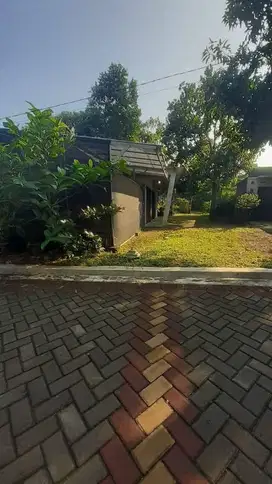 Tanah Banyumanik Durian Dekat UNDIP Tembalang