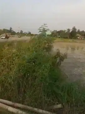 Kavling 3000m2 Pinggir Jalan di Desa Kasunyatan Kasemen Serang