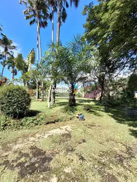 Dijual Tanah Kavling View Pegunungan di Puncak Tidar Malang