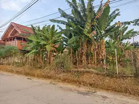 Dijual tanah siap bangun di jalan Malaka 3 Mangkunegara Bukit Sangkal