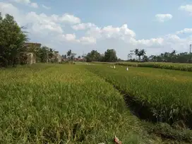 Tanah Kedung Kandang Belakang Blok Office Malang Kota
