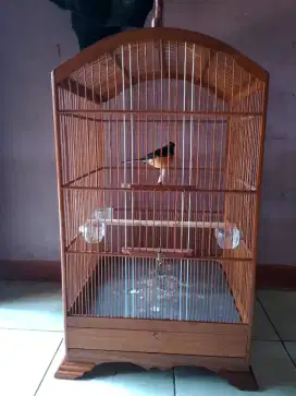 MURAI BATU PASTOL SPELIT PANDA PAMULANG