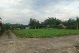 Dijual tanah Murah siap bangun Ngiter Sukoharjo