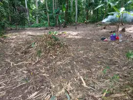 Di jual tanah seluas 300m lokasi di rangkas bitung