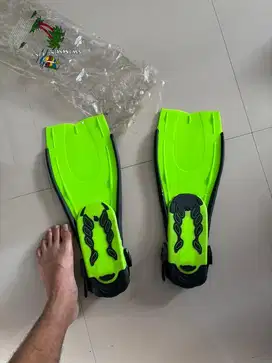 Kaki Katak Renang