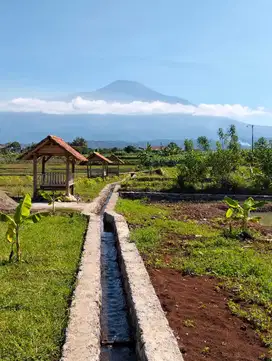 Dijual tanah tambaksogra purwokerto Utara