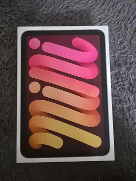 Ipad Mini 7 Ex Ibox