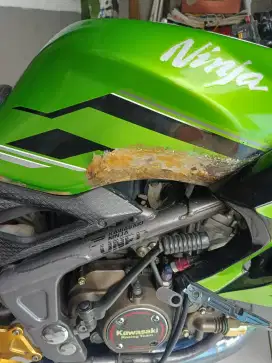 KAWASAKI NINJA RR New 2015