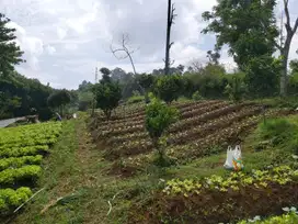 Tanah Pagerwengi Luas harga termurah dekat villa roro lembang nego