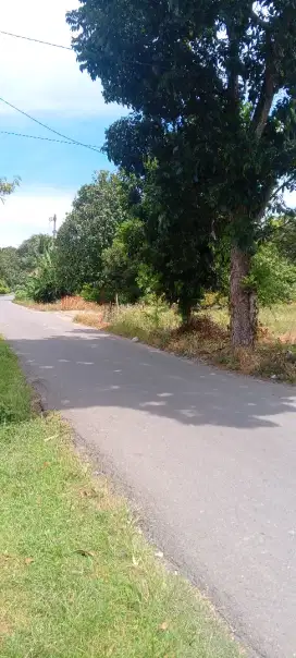 Tanah yang sangat strategis